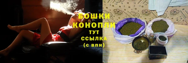 ECSTASY Гусев