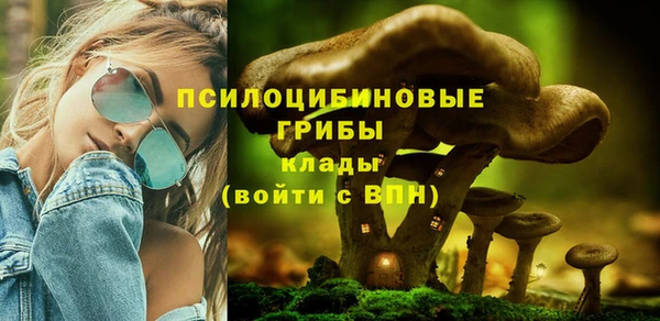 бошки Дмитровск