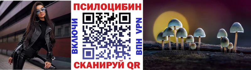 Галлюциногенные грибы Cubensis  Купить где  Мценск 
